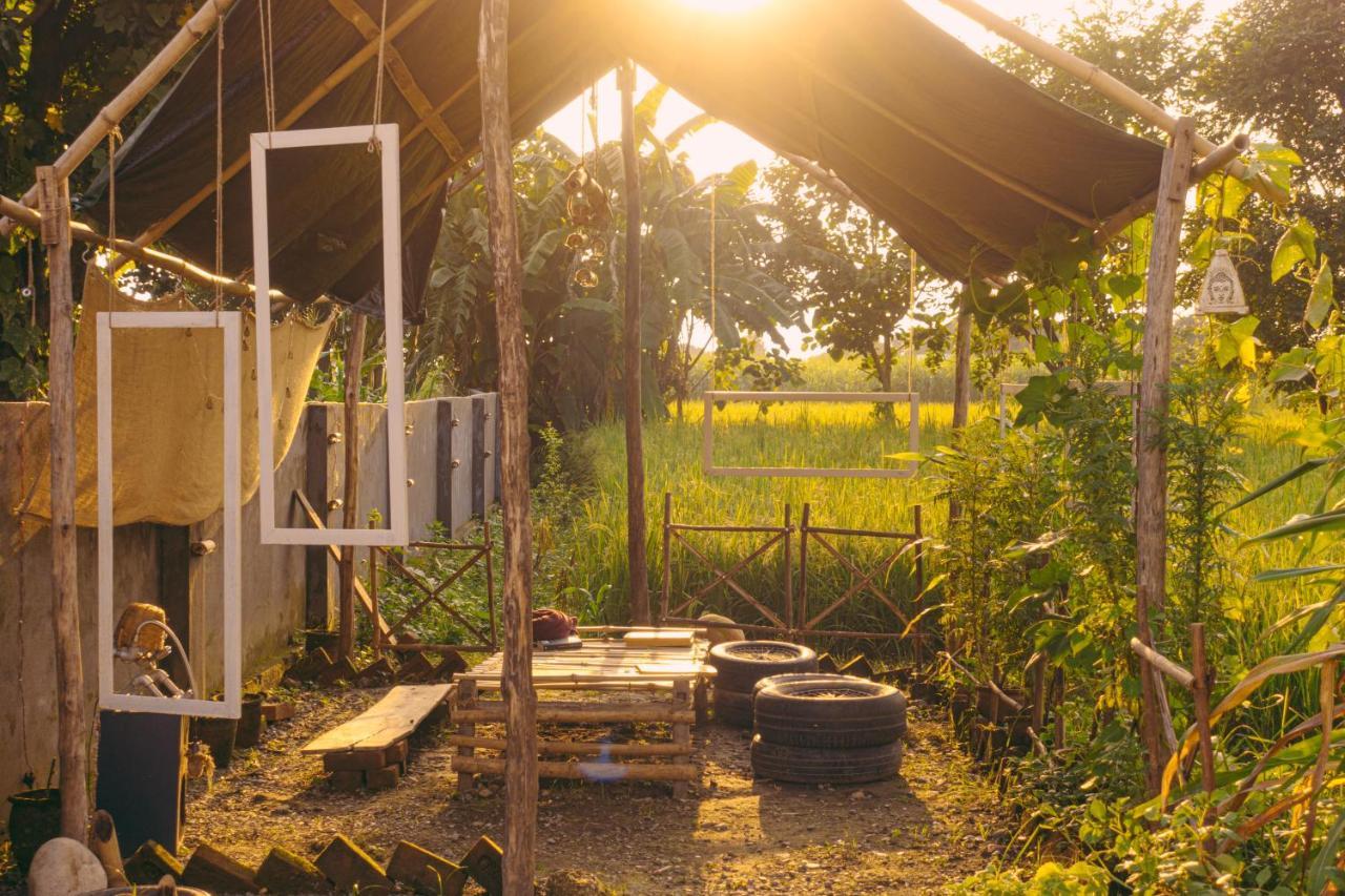 Sun N Soil Backpacker Hostel Lachhiwala Exteriér fotografie